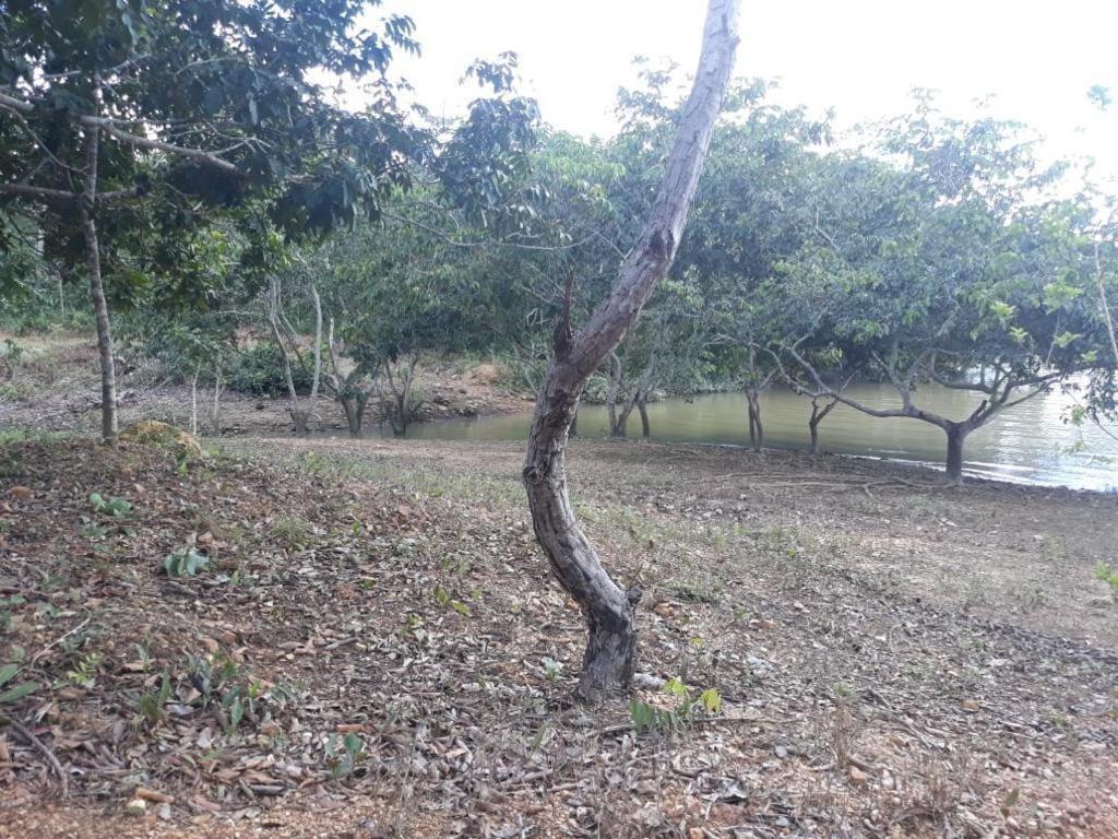 Chacara No